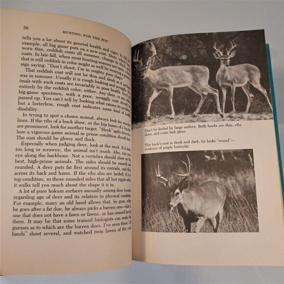 Hunting for Pot Fishing for the Pan Byron Dalrymple 1981 HC DJ Survival Prepper - Picture 7 of 12